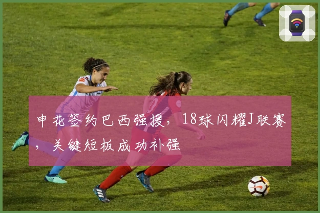 申花签约巴西强援，18球闪耀J联赛，关键短板成功补强