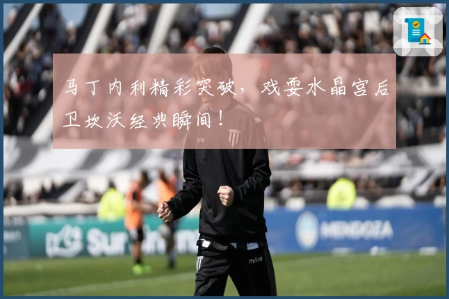 马丁内利精彩突破，戏耍水晶宫后卫坎沃经典瞬间！